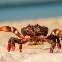 Rozhovor s Petrem Janem Juračkou pro Nikonblog.cz