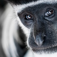 Rozhovor s Petrem Janem Juračkou pro Nikonblog.cz