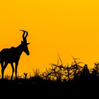 Rozhovor s Petrem Janem Juračkou pro Nikonblog.cz