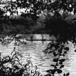 River 2 / Foto Jarek Rybák