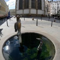 AF DX Fisheye Nikkor 10,5 mm F2,8G ED
