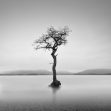Milarrochy Bay, Skotsko | Foto Tomáš Tisoň