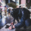Velká cena Japonska MotoGP 2019 | Foto Václav Duška Jr.