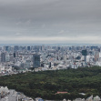 Velká cena Japonska MotoGP 2019 | Foto Václav Duška Jr.