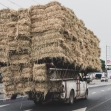 Velká cena Thajska 2019 | Foto Václav Duška Jr.