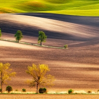 Stromořadí („Moravské Toskánsko“) | Foto Václav Hýža | Panorama z 22 snímků, 2× EBKT
