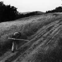 Vizovice, Morava,1988, Copyright V. Dukat, NL