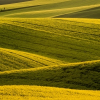 Foto Vojta Herout