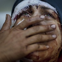 World Press Photo 2013