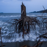 World Press Photo 2013