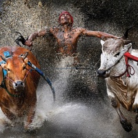 World Press Photo 2013