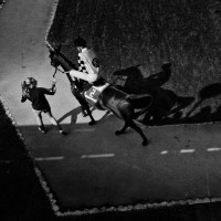 World Press Photo 2013