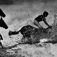 World Press Photo 2013