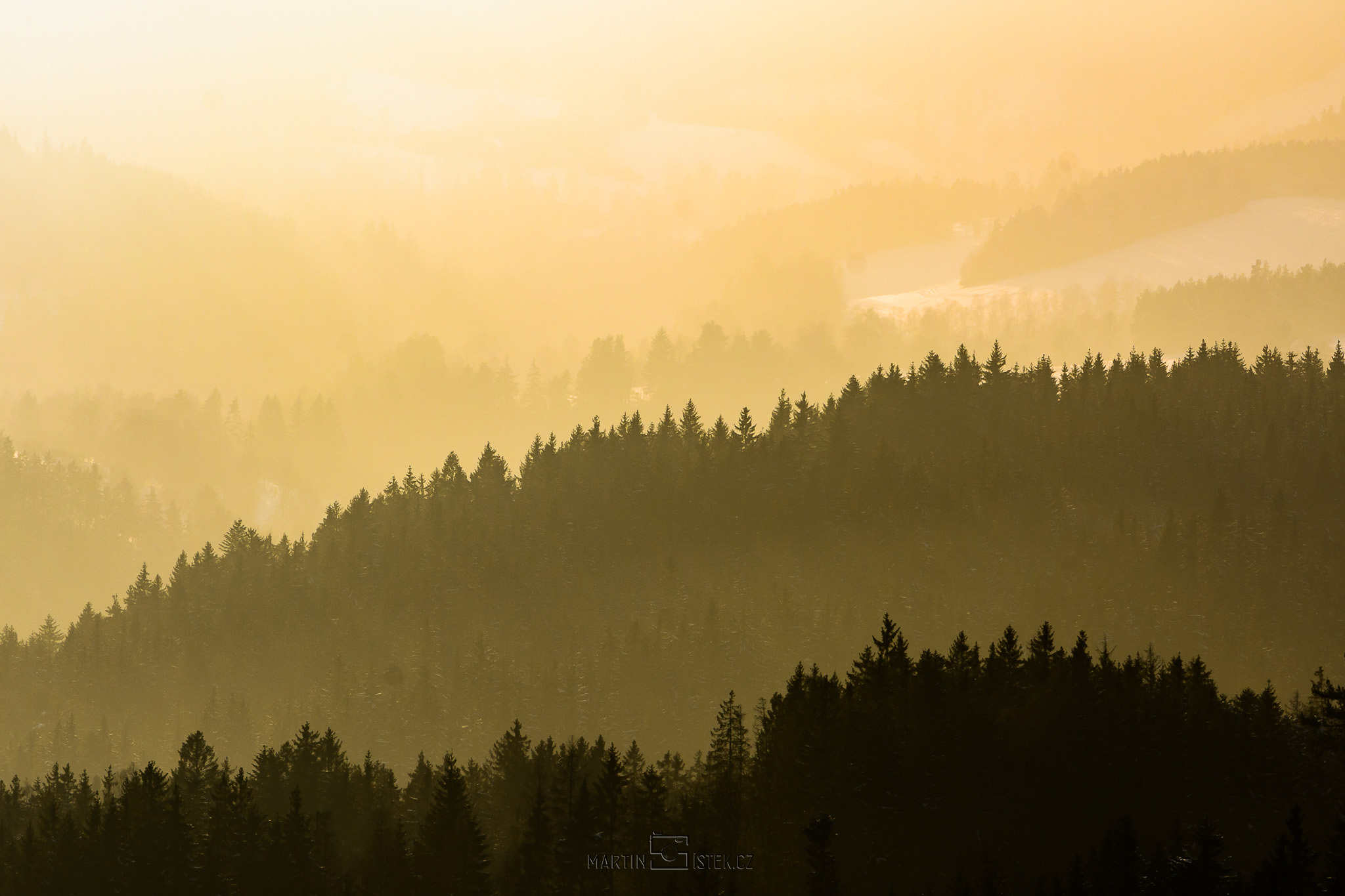 Siluety stromů, západ slunce Kašperské hory