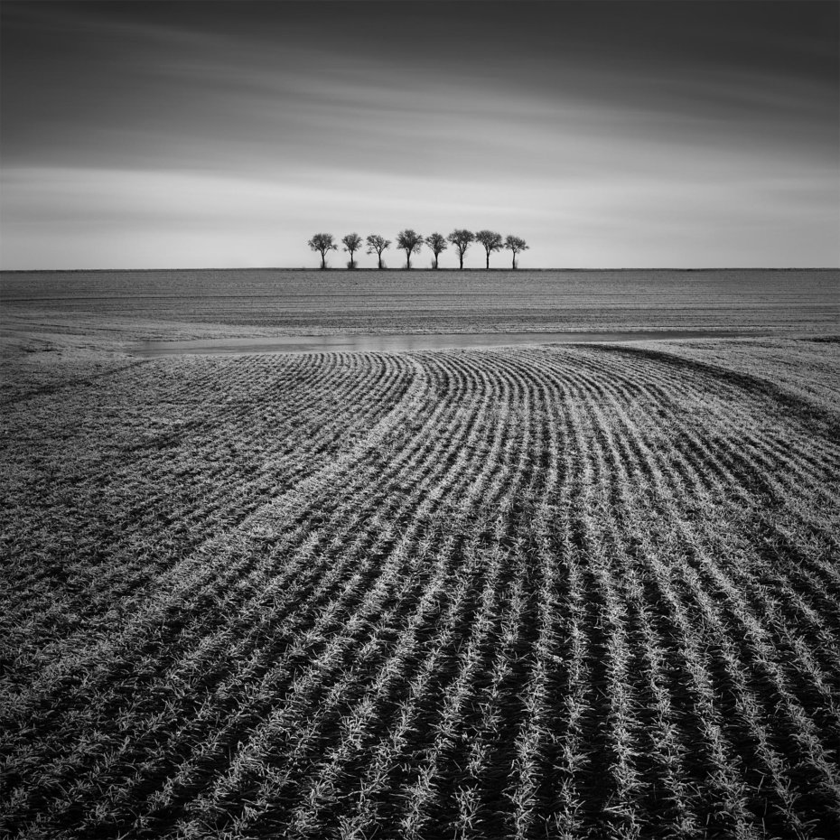 Osm stromů | Foto Tomáš Tisoň