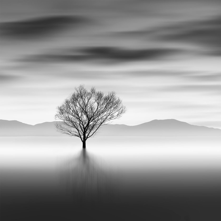 Vodní strom | Foto Tomáš Tisoň