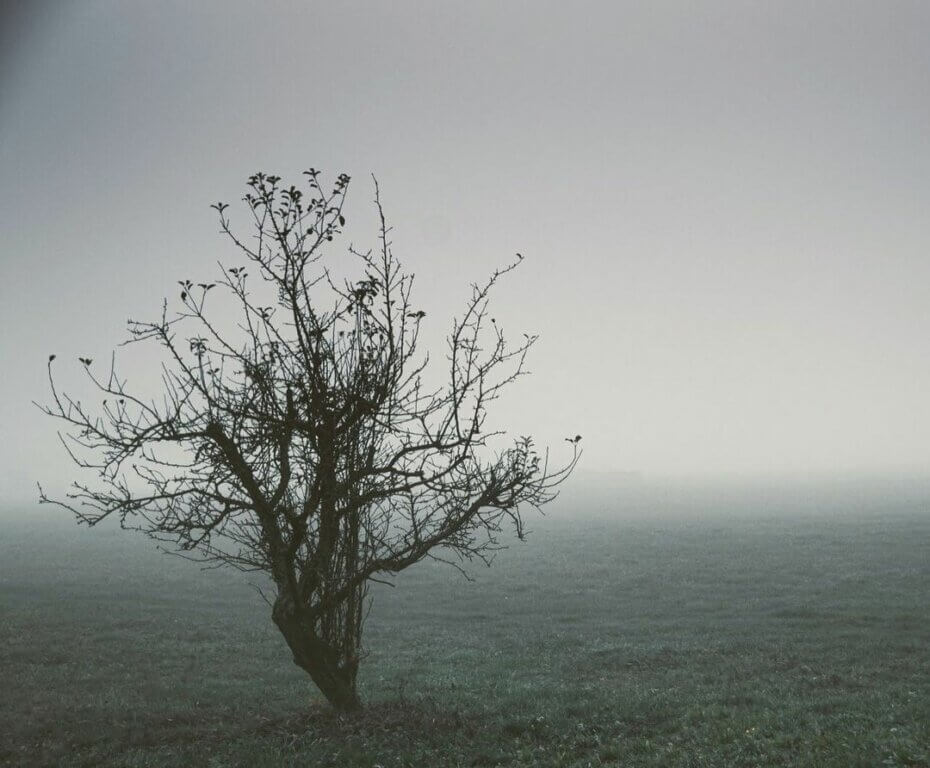 Mlha u Domažlic | Foto @karelpolakphotography (Karel Polák)