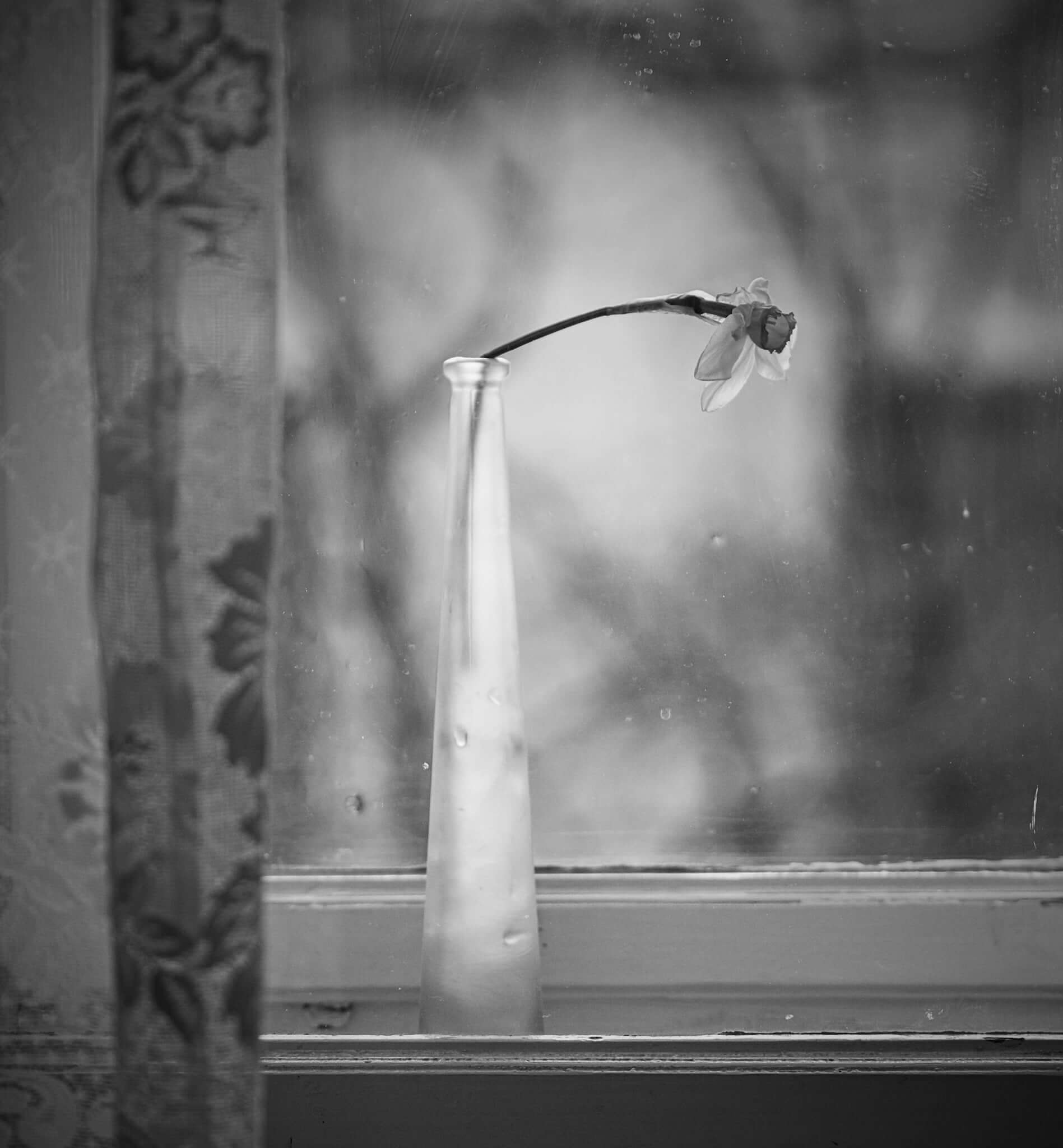 Za oknem – zvadlá a zapomenutá | Foto Barbora Blahová