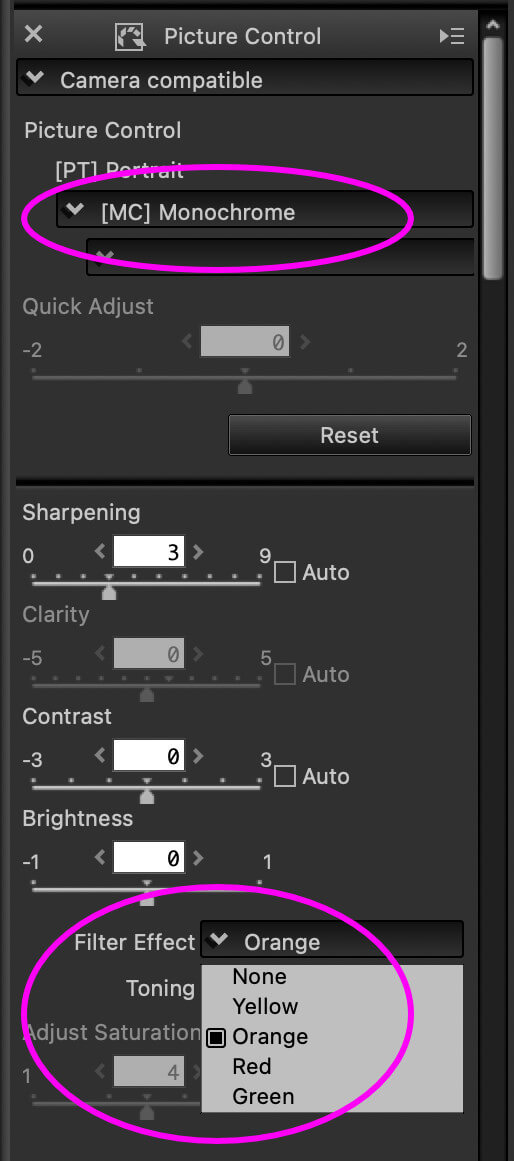 Nastavení barevných filtrů pro černobílou fotografii v Capture NX-D