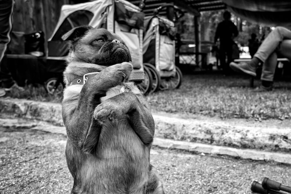 Foto Jan Jirkovský