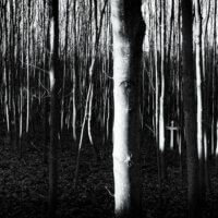 Vítěz 1. kola soutěže Fotka Nikonblogu 2021 | Když jsem procházel hustým lesem, mezi stromy se objevil kříž. Proč tam je? Kdo jej tam dal? | Foto Pavel Chorobík