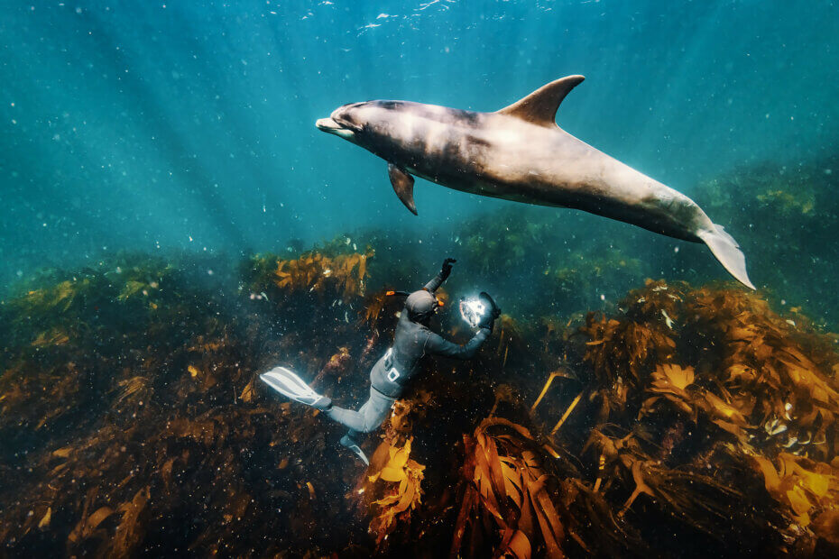 A takhle mě s Malinkou vyfotil George. Plavat na dně v kelpu a čekat na její defilé bylo jednou z nejhezčích činností, které jsem při fotografování kdy dělal. | Foto George Karbus