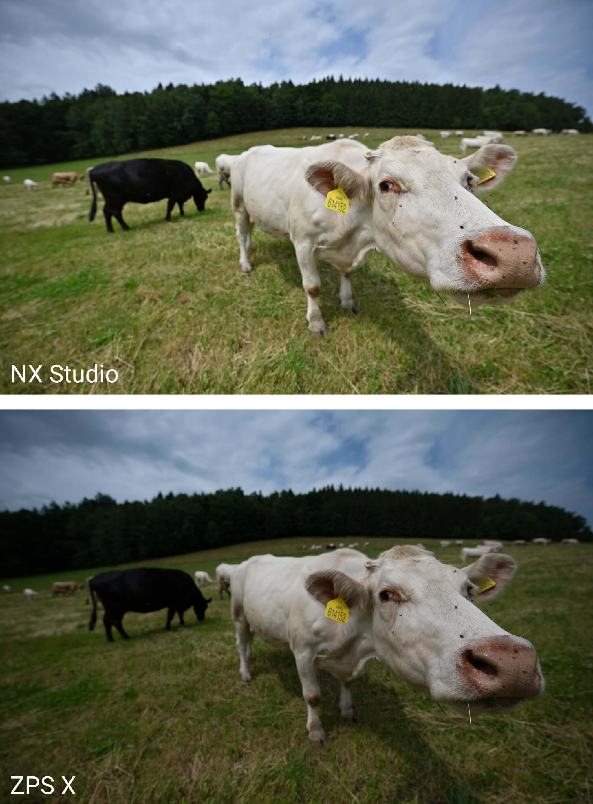 Vyvolání NEFu – Nikon Z 6II – NX Studio vs. Zoner Photo Studio X