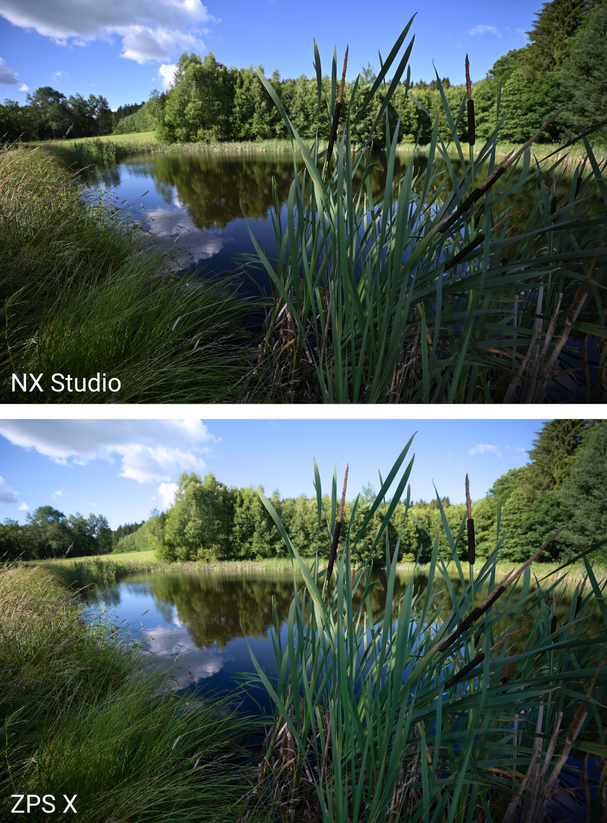 Vyvolání NEFu – Nikon Z 6II – NX Studio vs. Zoner Photo Studio X