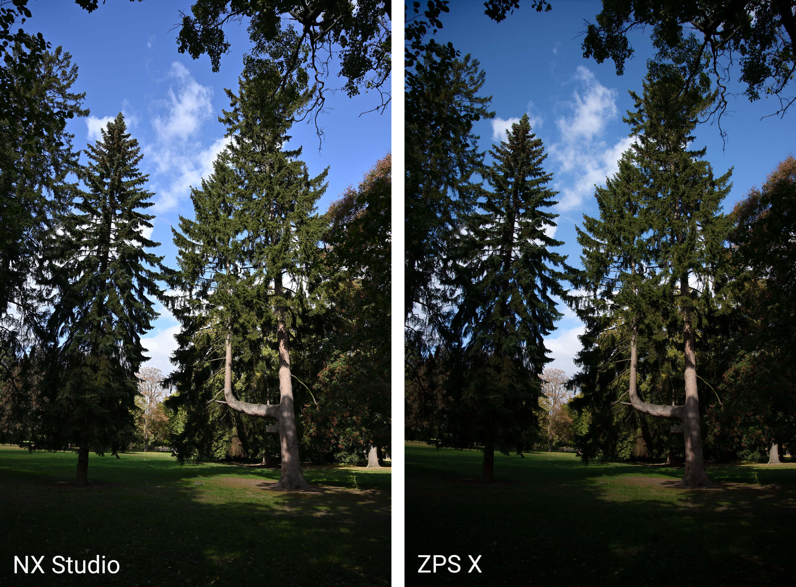 Vyvolání NEFu – Nikon Z 7 – NX Studio vs. Zoner Photo Studio X