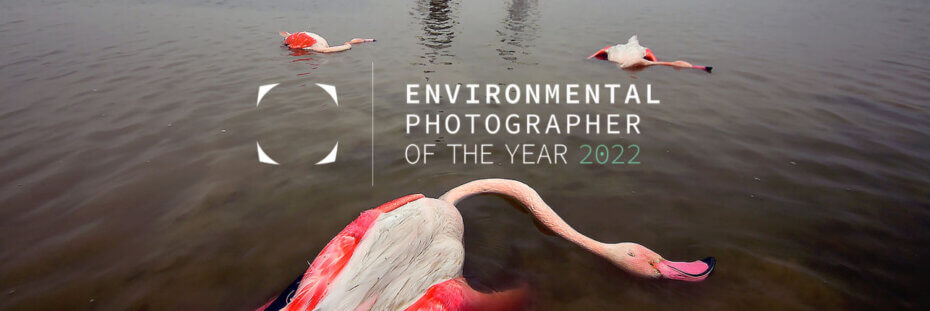 Vítězové soutěže Environmental Photographer of the Year 2022