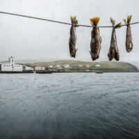 Opuštěná továrna na zpracování sleďů v Djúpavíku na Západních fjordech | Foto Jan Sucharda