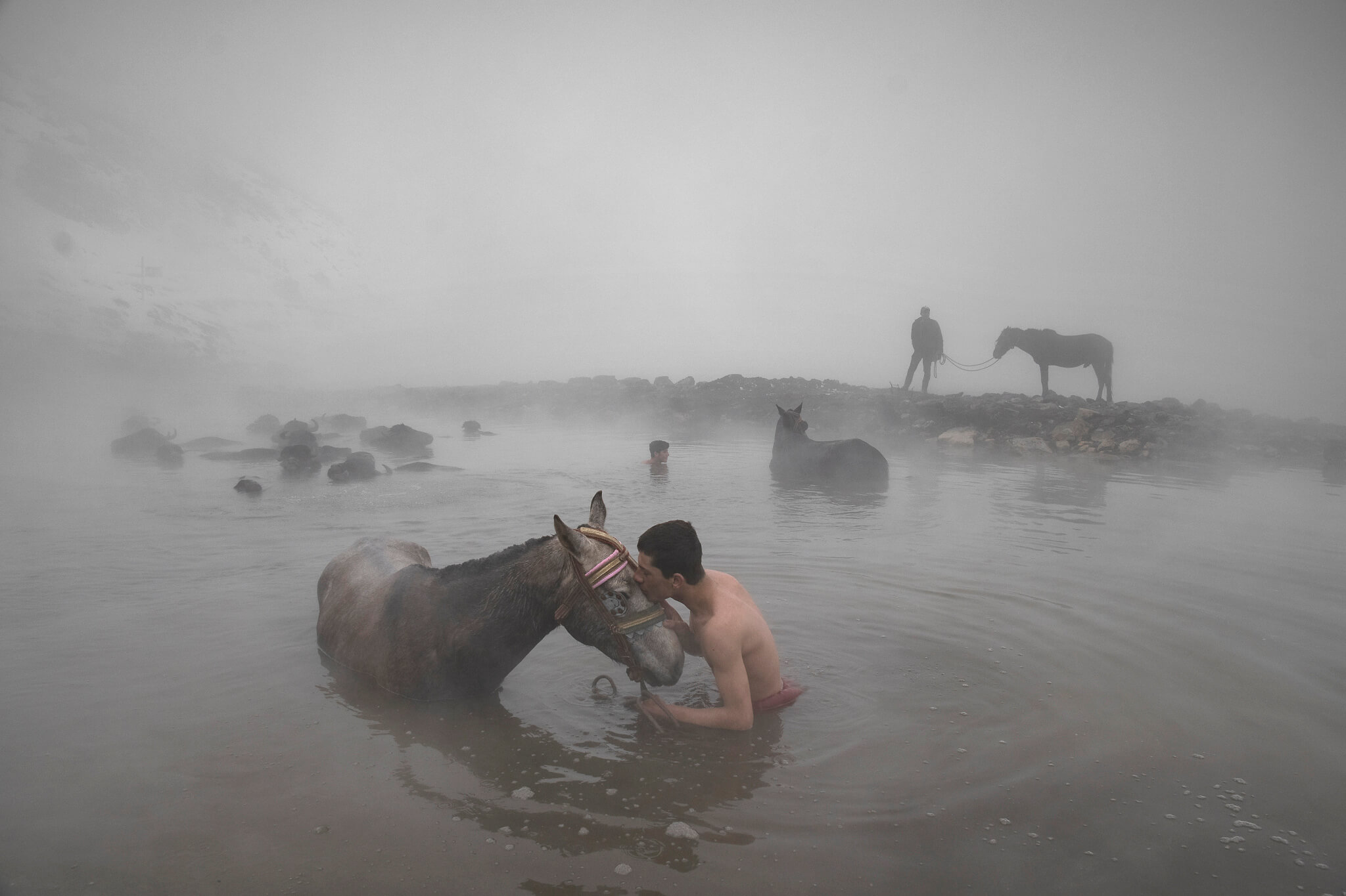 Nikon Photo Contest 2022–2023 – Excellence Award, single foto | Ahmet Fatih Sönmez: Hot water
