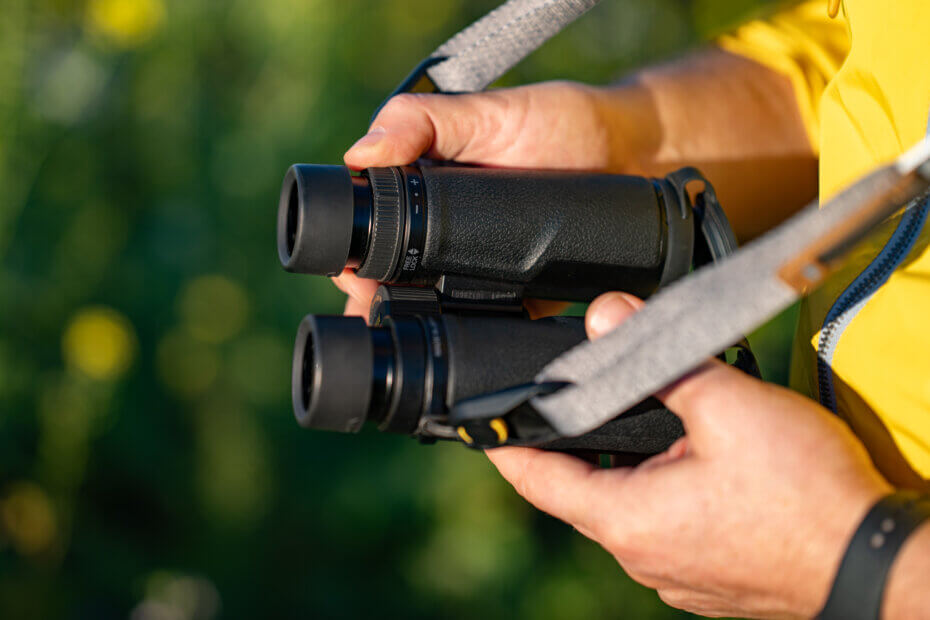 Nikon Monarch HG 10×42