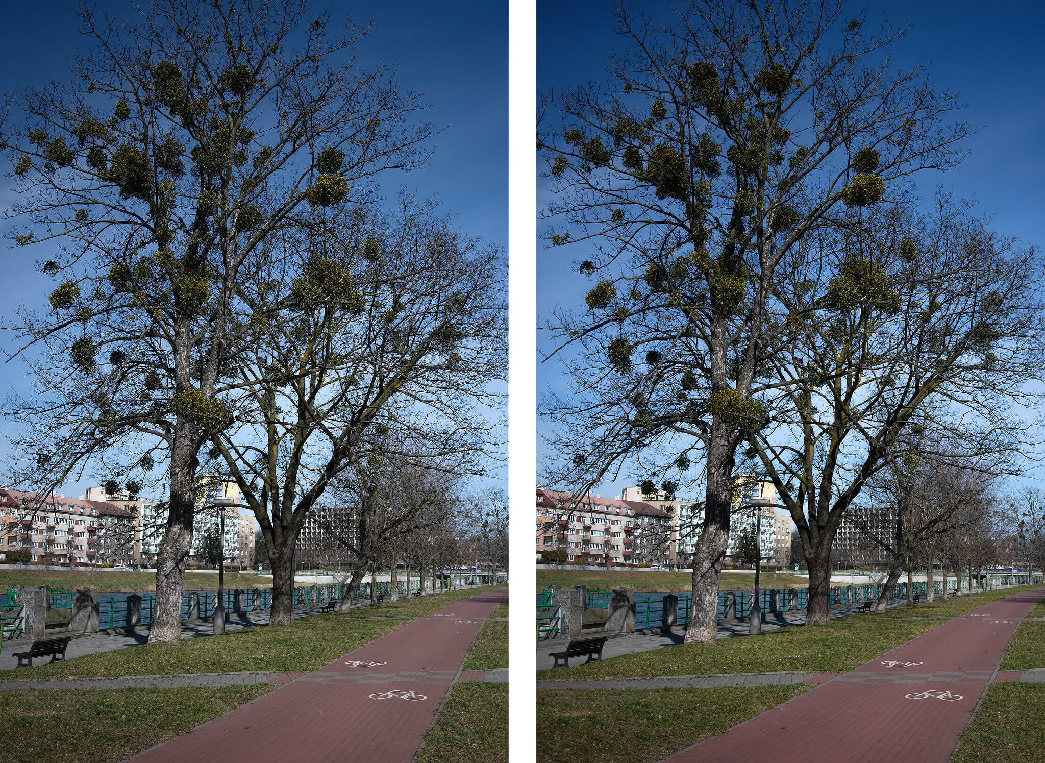 Reálná fotografie vs. LUT „Živé barvy“ v Zoner Photo Studiu X. Realistická LUT pouze zvýší sytost barev (Otázkou je, zdali je k takové úpravě potřeba LUT…)