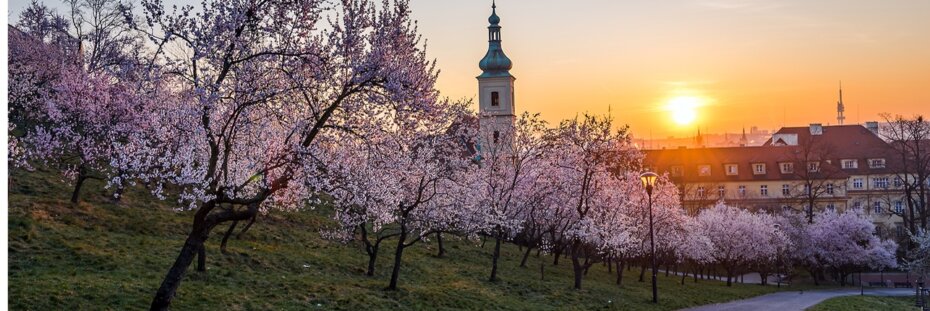 Fotka Nikonblogu očekává vaše probouzení