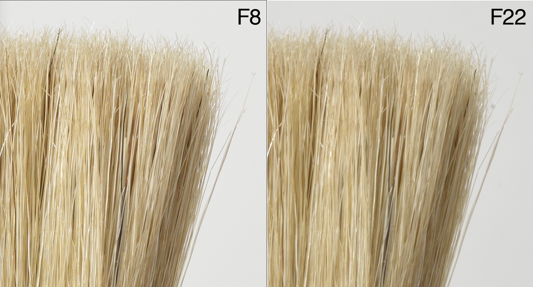 Detail ve 100% zvětšení – porovnání clon F8 a F22