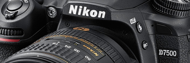 Kříženec. Nikon D7500 v testu Nikonblogu